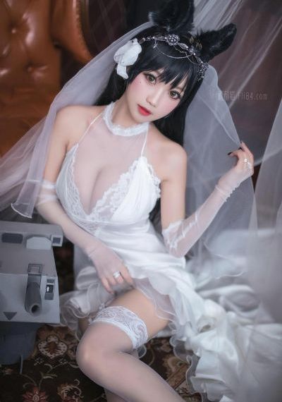 免费看片z333tv_DVD迅雷电影在线