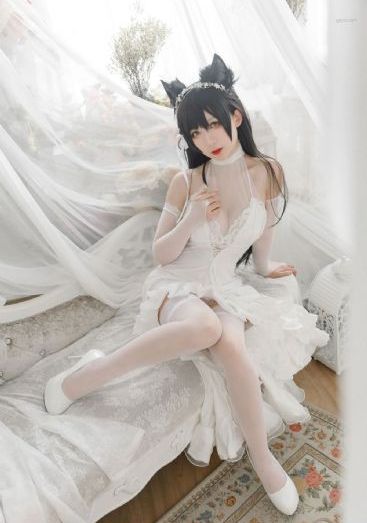 天天日夜夜抽_DVD免费全集观看